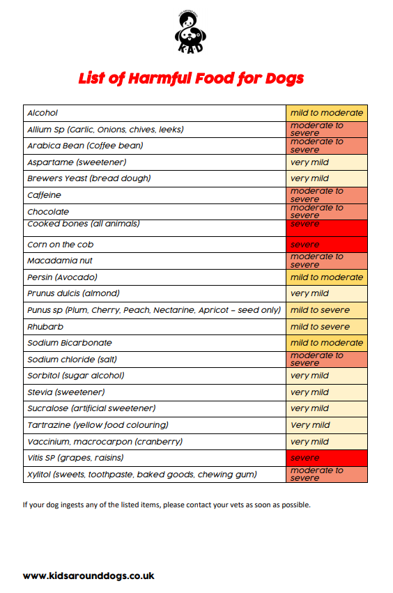 List of Harmful Food for Dogs