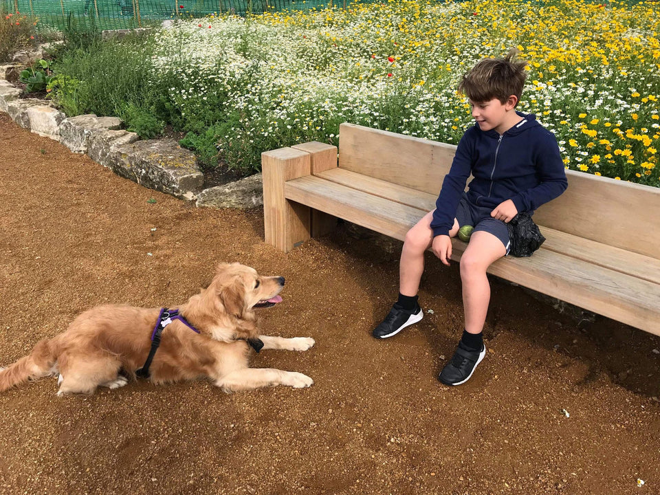 Find your nearest KAD professional