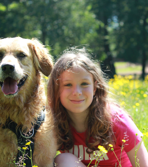 Surviving the Summer Holidays with Kids Around Dogs