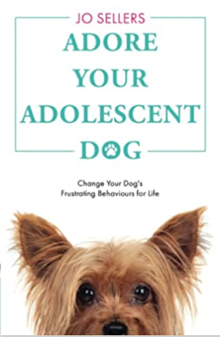Adore your adolescent dog by Jo Sellers