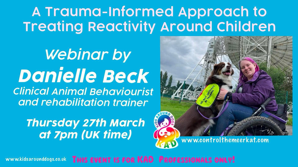 A Trauma-Informed Approach to Treating Reactivity Around Children