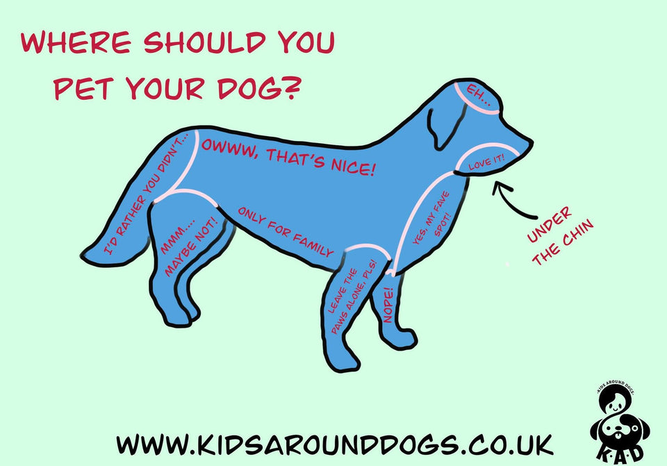 Where should you pet your dog?