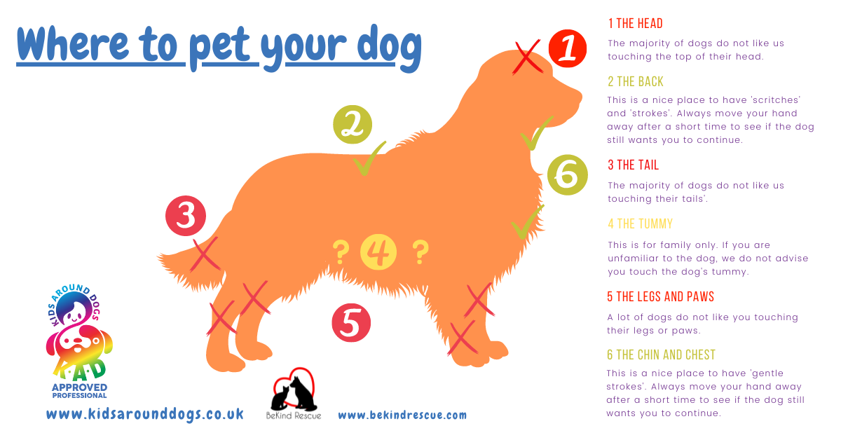 Where Should You Stroke Your Dog?